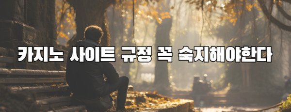 카지노 사이트 규정 꼭 숙지해야한다