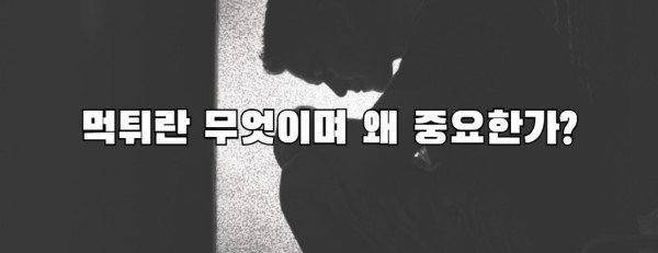 먹튀란 무엇이며 왜 중요한가?