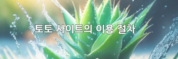 토토 사이트의 이용 절차