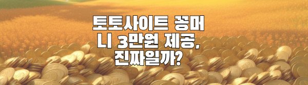 토토사이트 꽁머니 3만원 제공, 진짜일까?