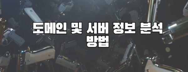 도메인 및 서버 정보 분석 방법